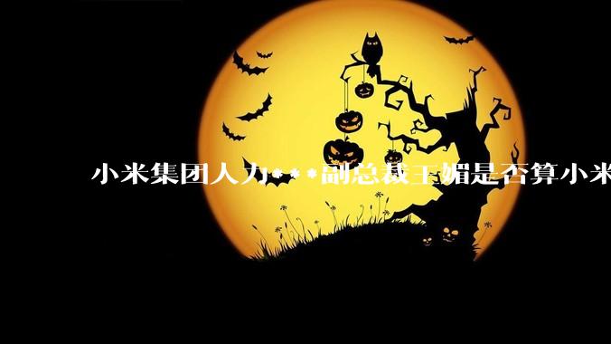 小米集团人力***副总裁王媚是否算小米集团高管？