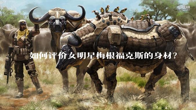 如何评价女明星梅根福克斯的身材？