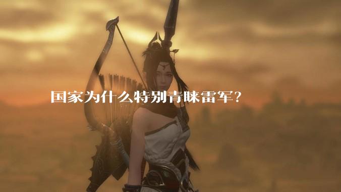 国家为什么特别青睐雷军？