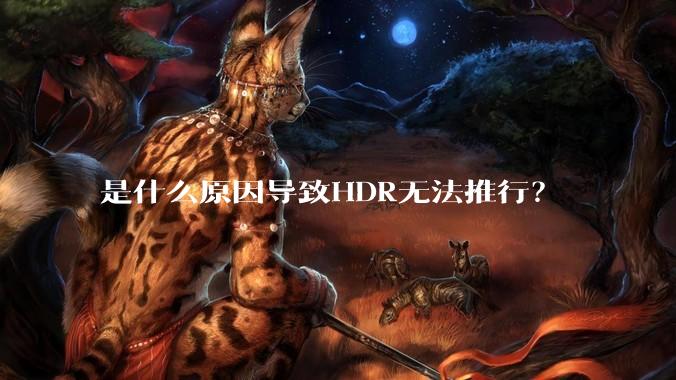 是什么原因导致HDR无法推行？