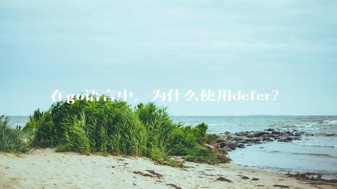 在go语言中，为什么使用defer？
